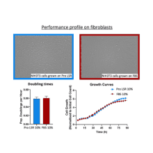 Proliferum® LSR 1